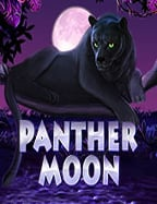 สูตรเล่นสล็อตโรม่า: วิธีเล่นและทำกำไรง่ายๆ